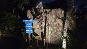 Lot 60 Pirate at Night