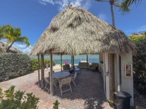 Lot 51 Tiki View
