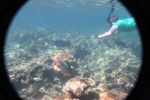 Snorkeling Tour