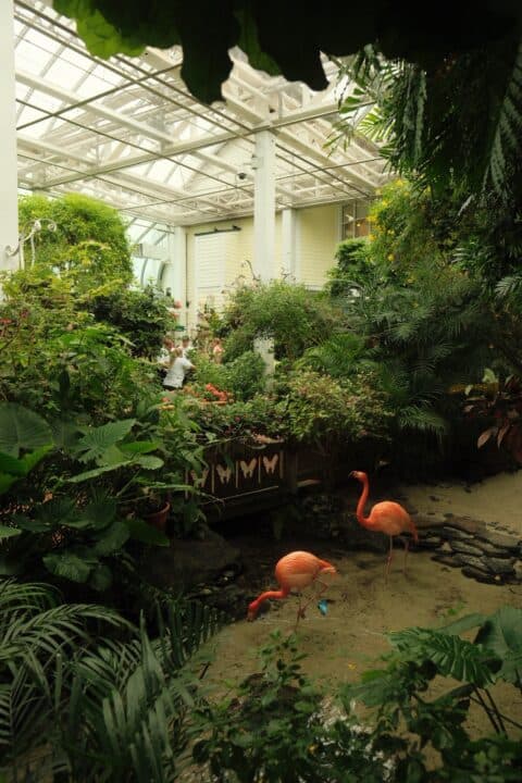 The Key West Butterfly and Nature Conservatory