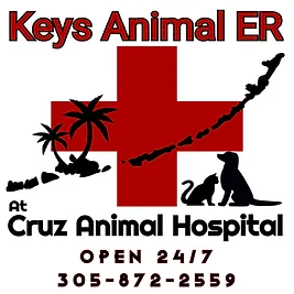 Cruz Animal Hospital