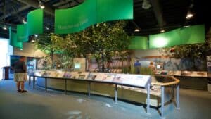 Eco-Discovery Center