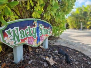 Lot 37 Wacky Shack Sign