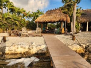 Lot 66 Tiki From Water
