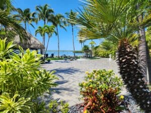 Lot 41 Lush Landscaping