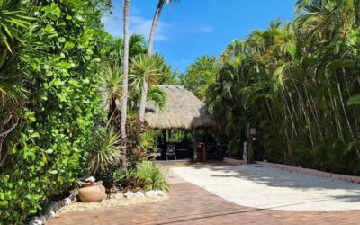 Lot 8 Canal Platinum