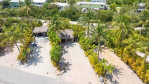 Lot 24 Tiki Aerial View