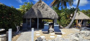 Lot 60 Backside of Tiki